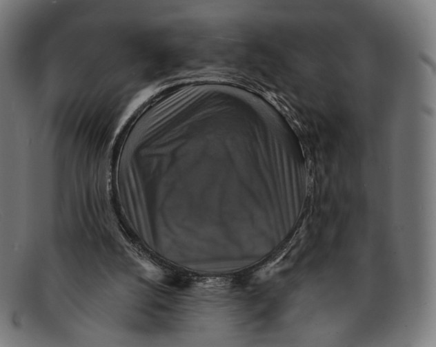 X0000091460056200709131741