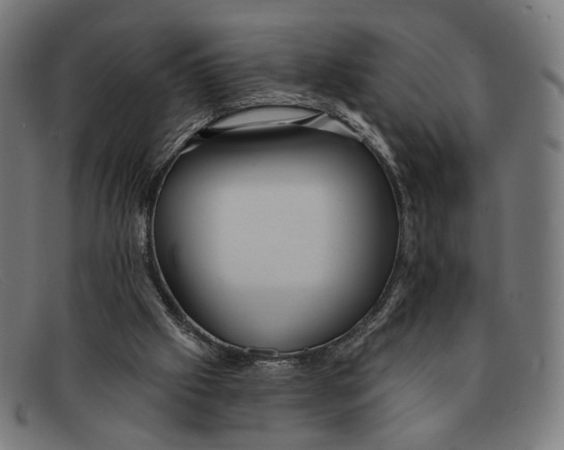 X0000091460057200709131741