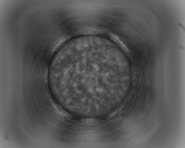 X0000091460058200709131741
