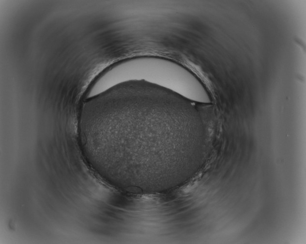 X0000091460060200709131741