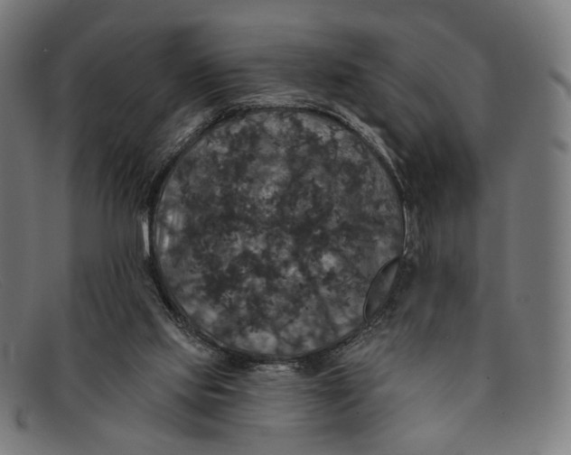 X0000091460061200709131741