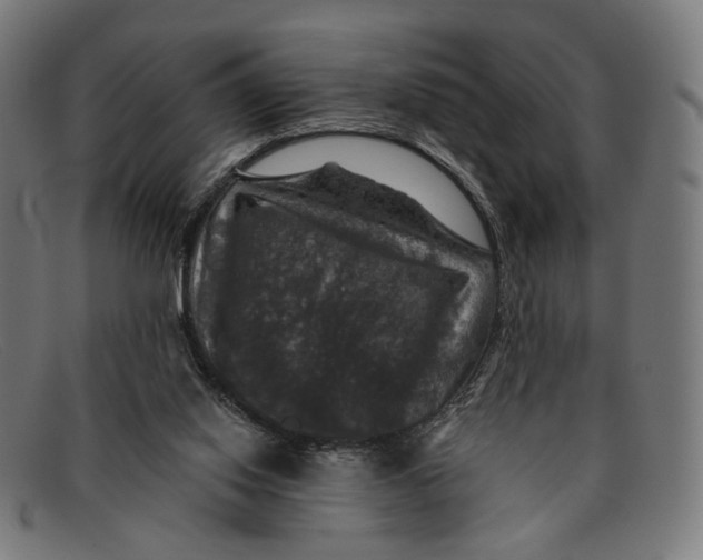 X0000091460062200709131741