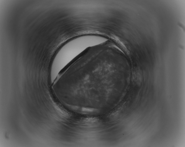 X0000091460063200709131741