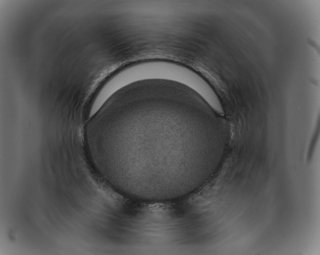 X0000091460064200709131741