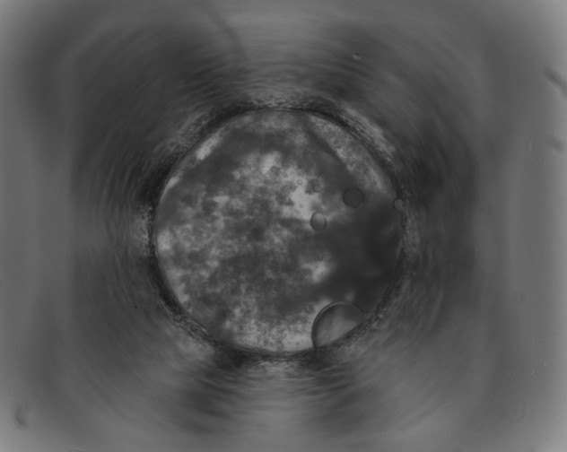 X0000091460065200709131741