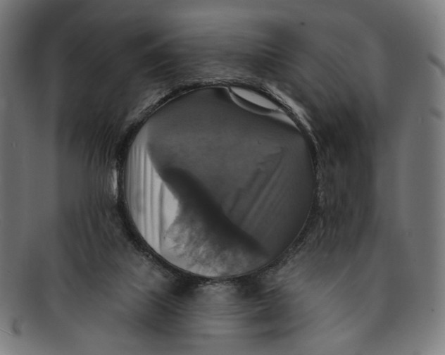 X0000091460067200709131741