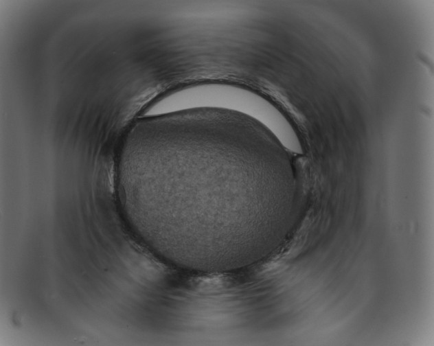 X0000091460068200709131741
