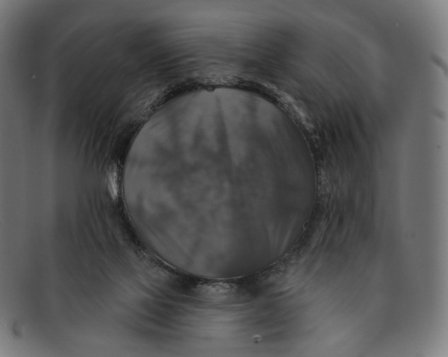 X0000091460069200709131741