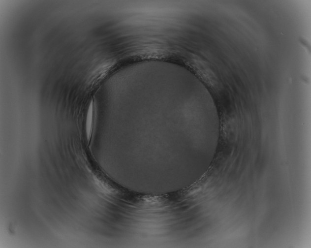 X0000091460070200709131741