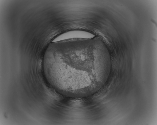 X0000091460071200709131741