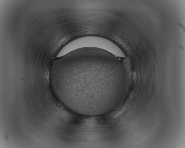 X0000091460072200709131741