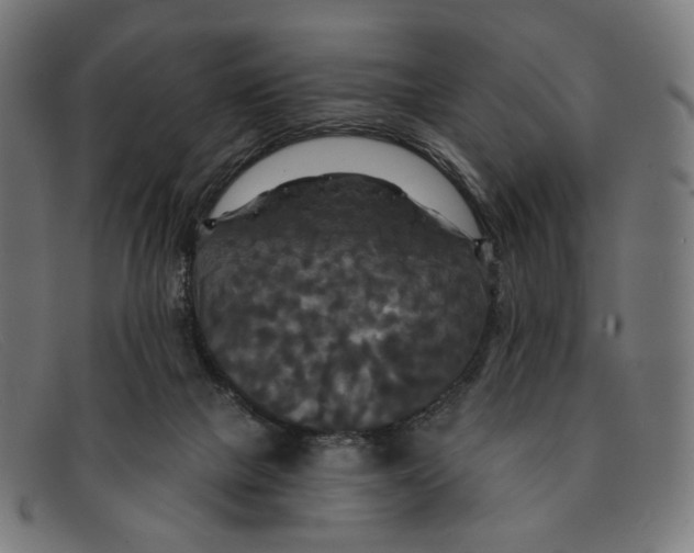 X0000091460073200709131741