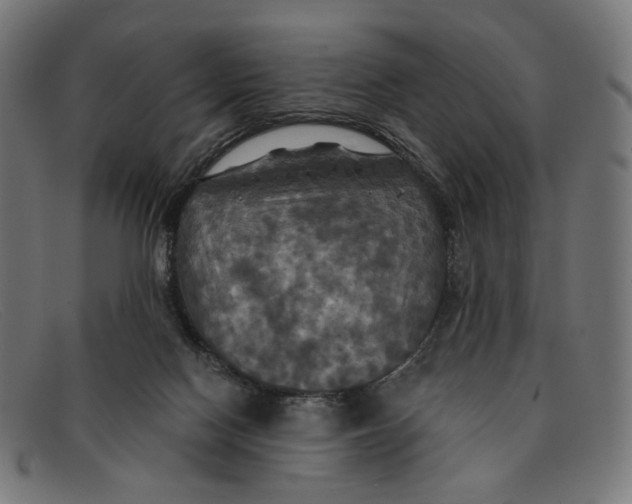 X0000091460074200709131741