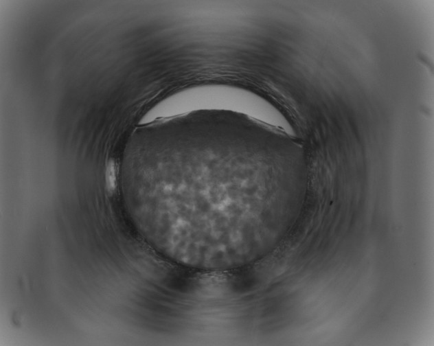 X0000091460075200709131741