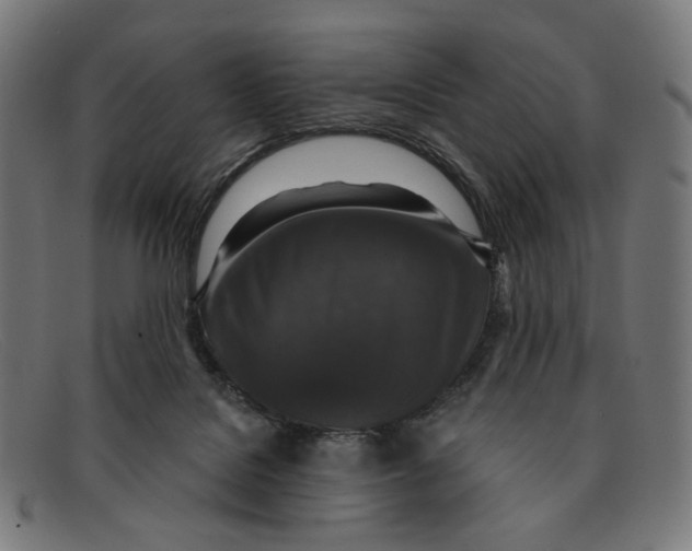 X0000091460076200709131741