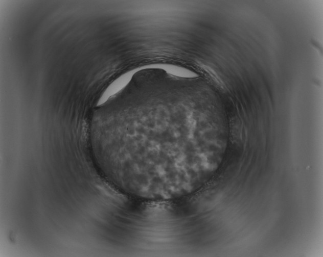 X0000091460077200709131741