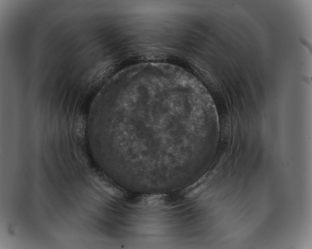 X0000091460078200709131741