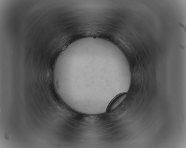 X0000091460079200709131741