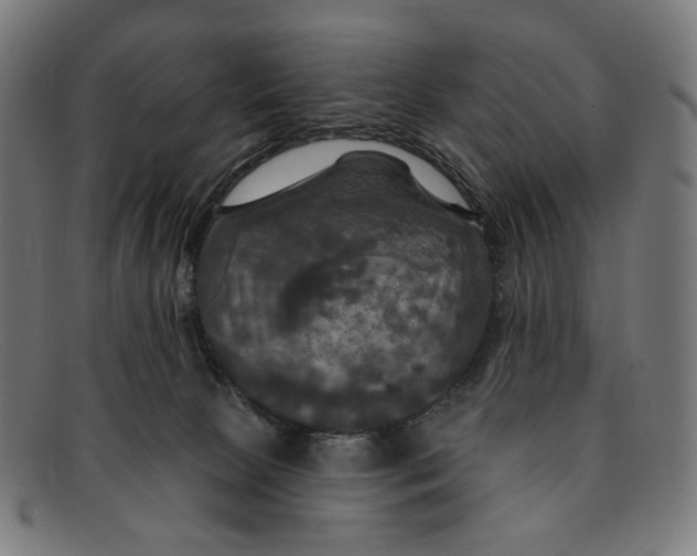 X0000091460081200709131741