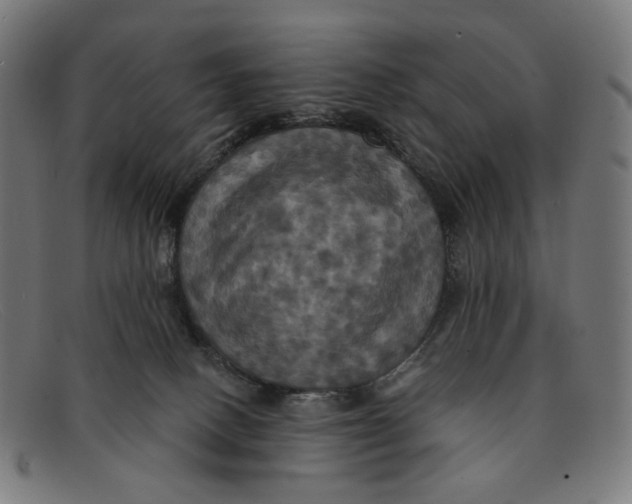 X0000091460082200709131741