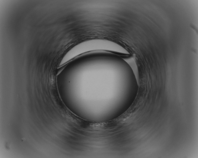 X0000091460084200709131742