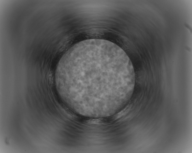 X0000091460086200709131742