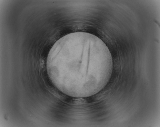 X0000091460087200709131742