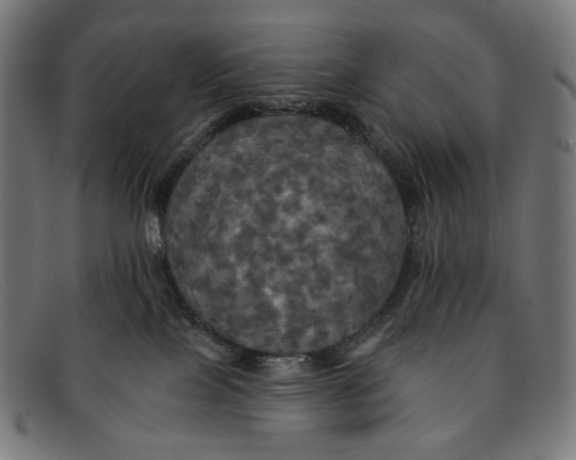 X0000091460089200709131742