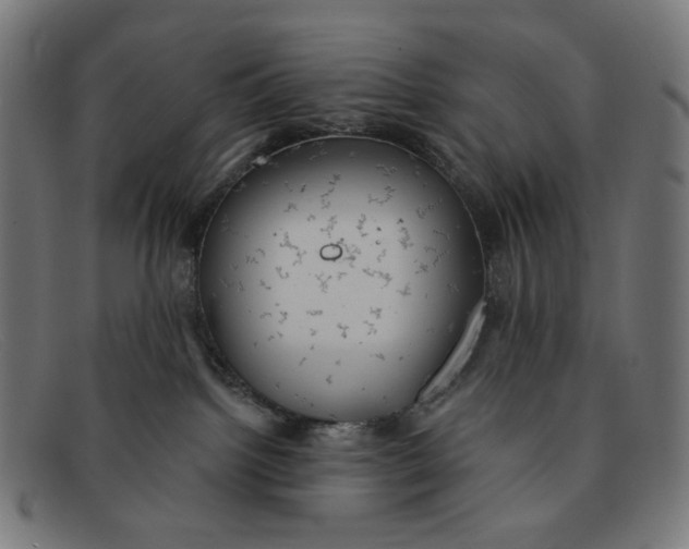 X0000091460092200709131742