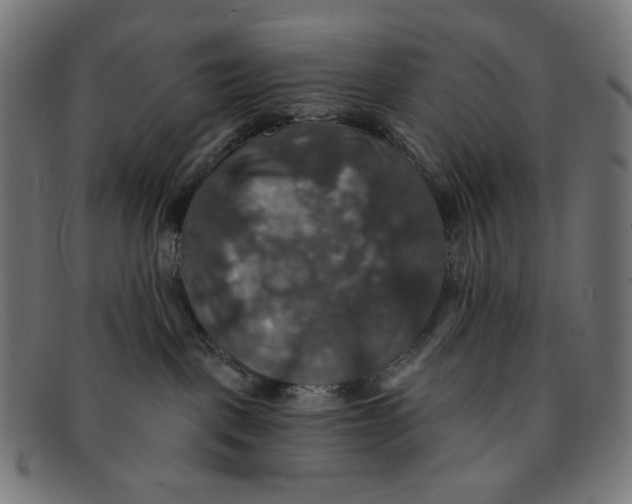 X0000091460093200709131742