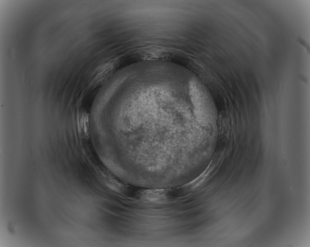 X0000091460094200709131742