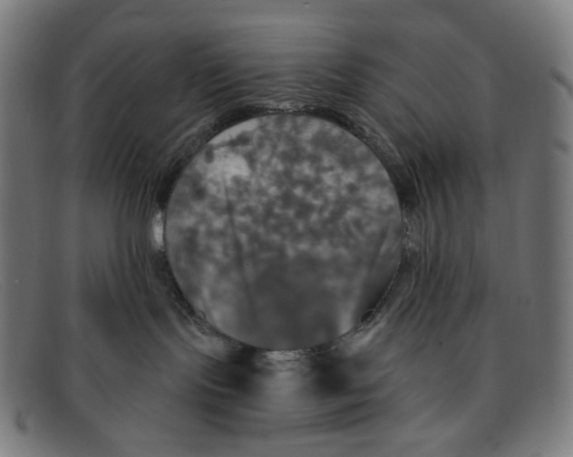 X0000091460095200709131742