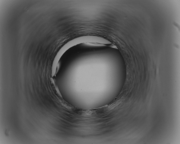 X0000091460096200709131742