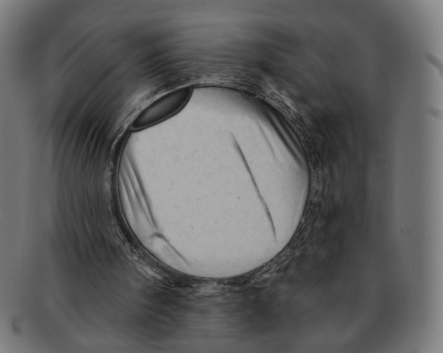 X0000091460098200709131741