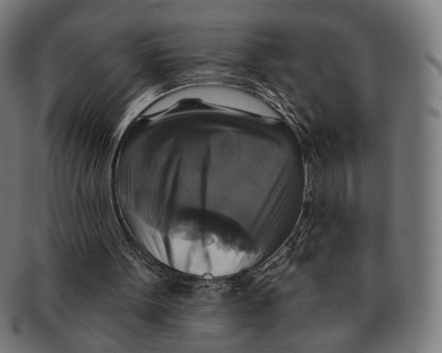 X0000091460099200709131741