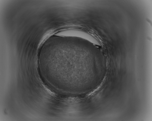 X0000091460101200709131741