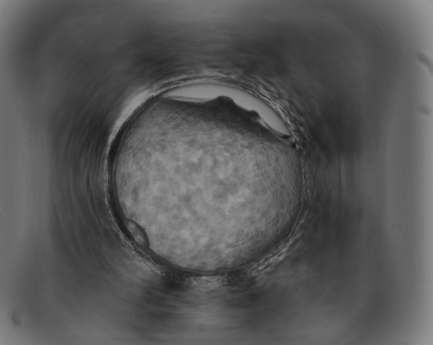 X0000091460102200709131741