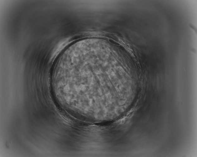 X0000091460103200709131741