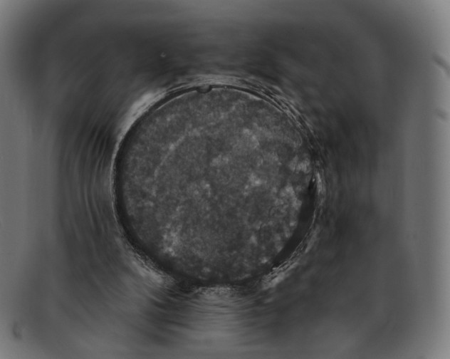 X0000091460104200709131741