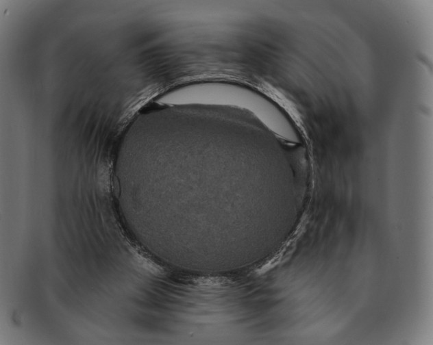 X0000091460105200709131741