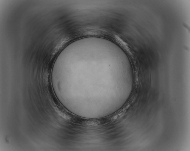 X0000091460106200709131741