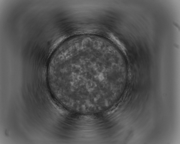 X0000091460107200709131741
