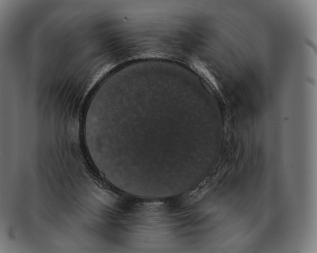 X0000091460108200709131741