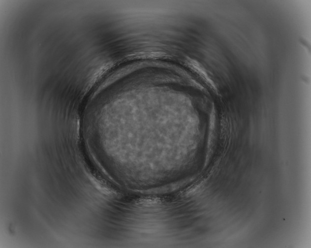 X0000091460110200709131741