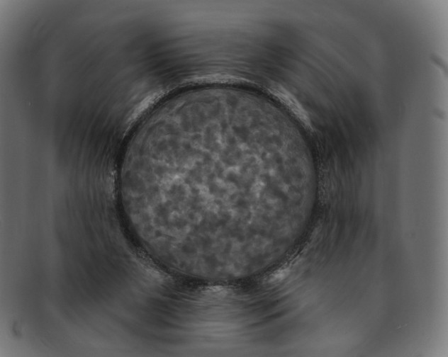 X0000091460111200709131741