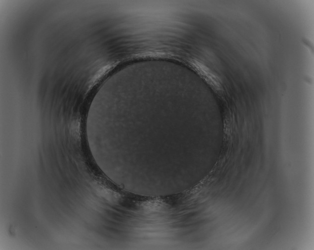 X0000091460112200709131741