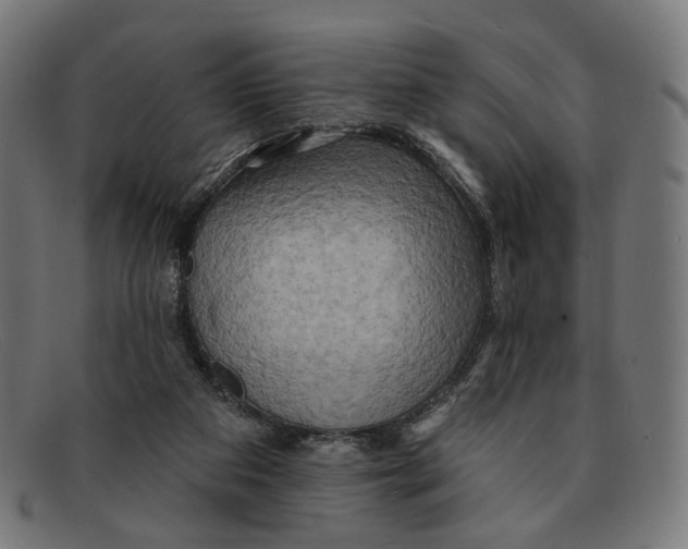 X0000091460113200709131741