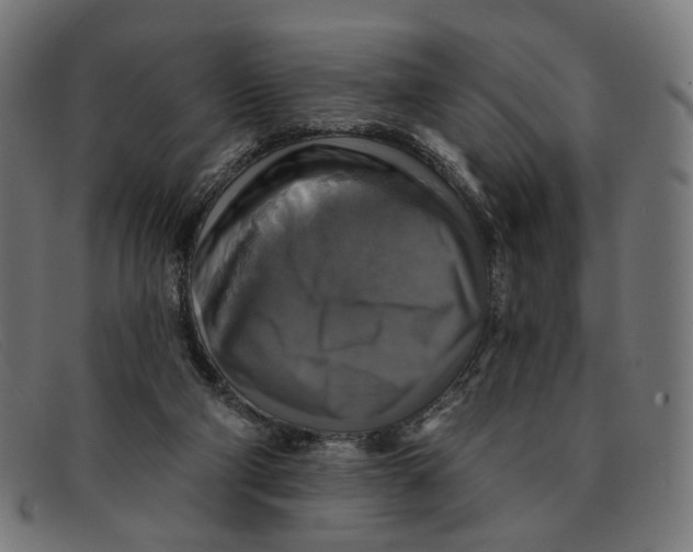 X0000091460114200709131741