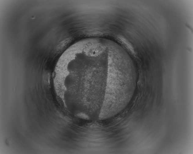 X0000091460115200709131741