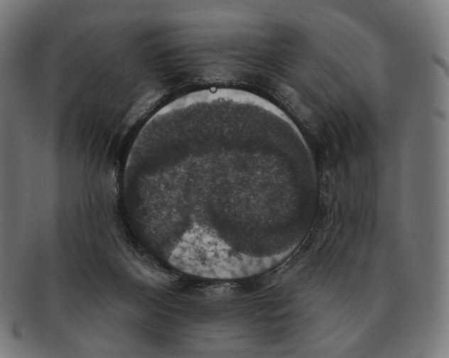 X0000091460116200709131741